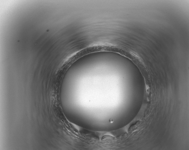 X0000059060872200510212024