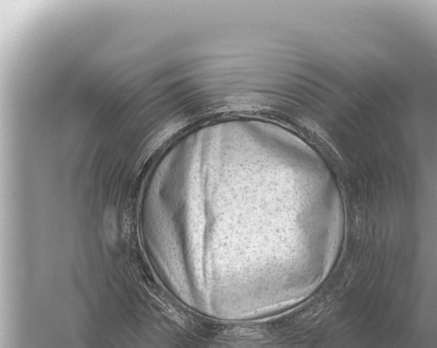 X0000059060874200510212024