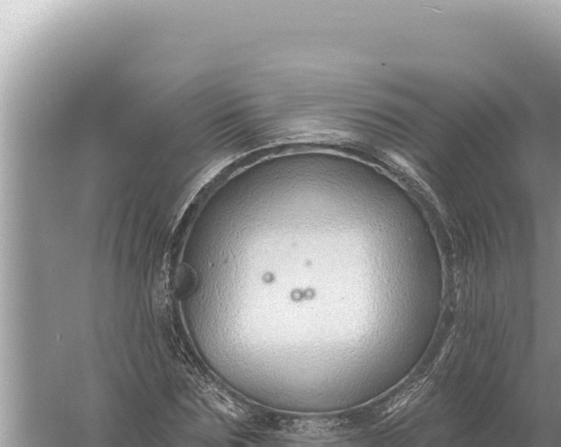 X0000059060875200510212024