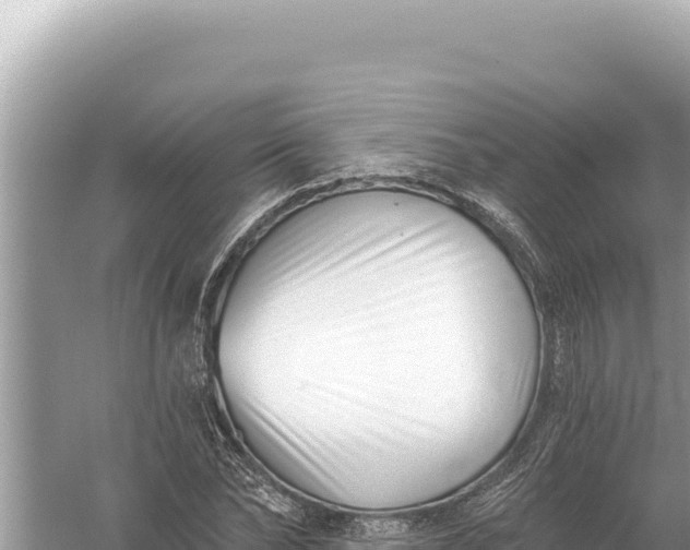 X0000059060878200510212024