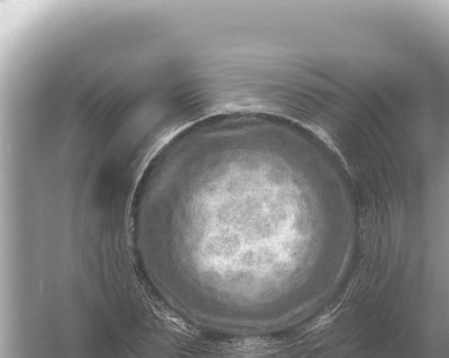 X0000059060879200510212024