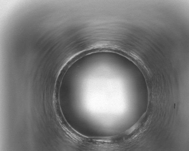 X0000059060880200510212024