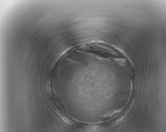 X0000059060881200510212023