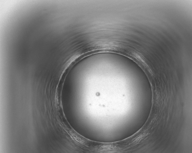 X0000059060883200510212023