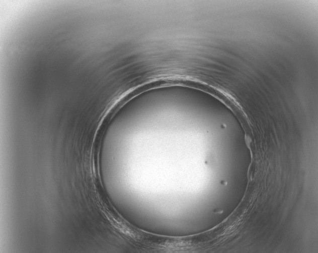 X0000059060887200510212023