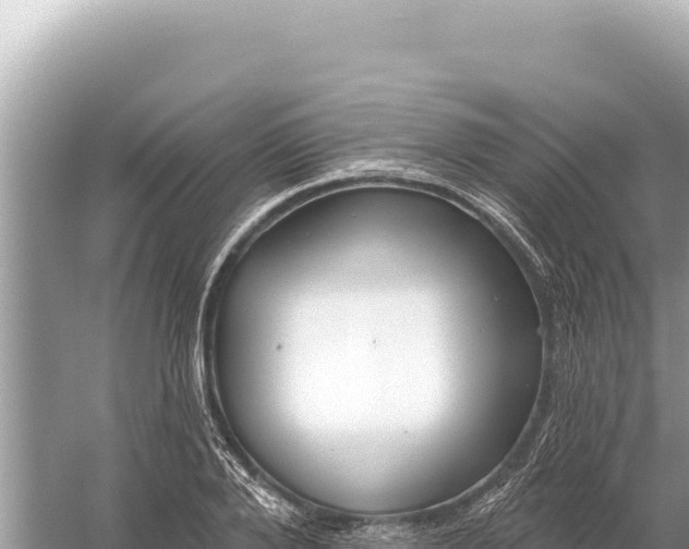 X0000059060888200510212023