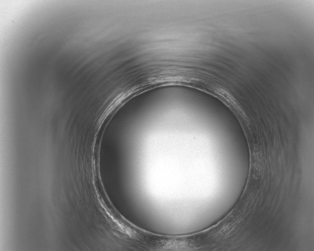 X0000059060890200510212023