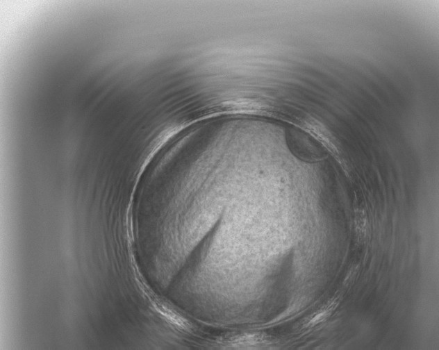 X0000059060891200510212023