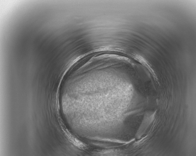 X0000059060892200510212023