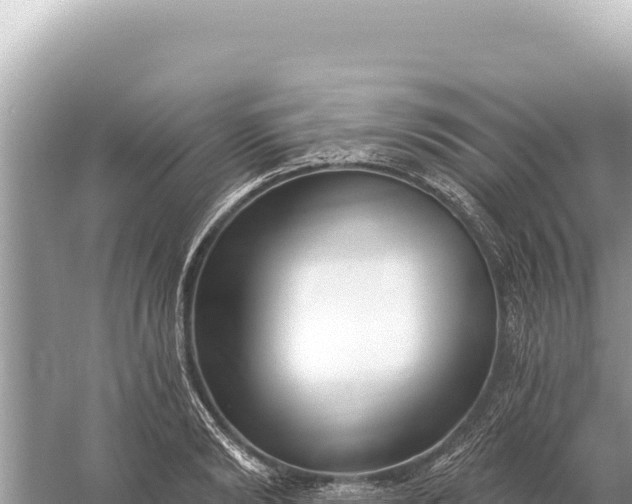 X0000059060894200510212023