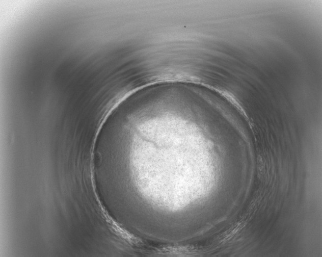 X0000059060895200510212023