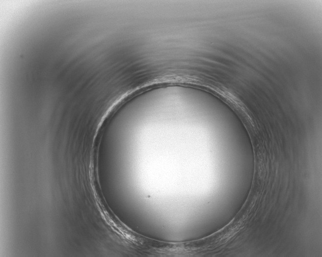 X0000059060896200510212023