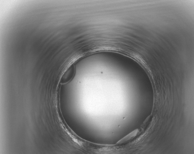 X0000059060898200510212023