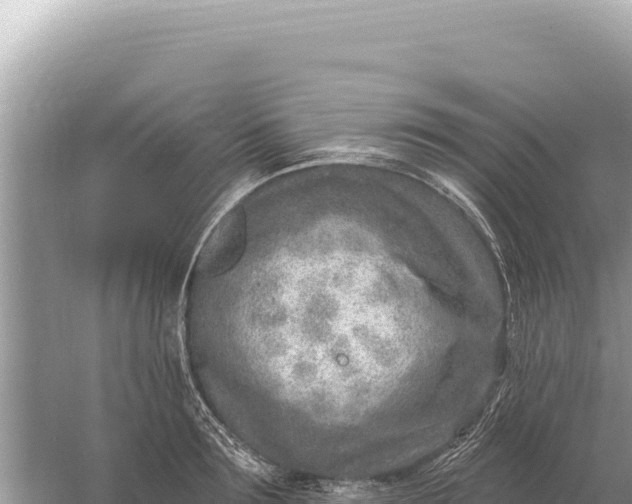 X0000059060899200510212023