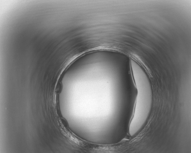 X0000059060900200510212023