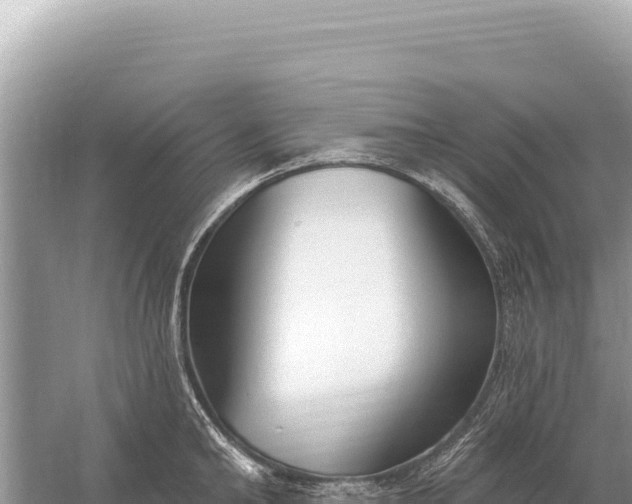 X0000059060902200510212023