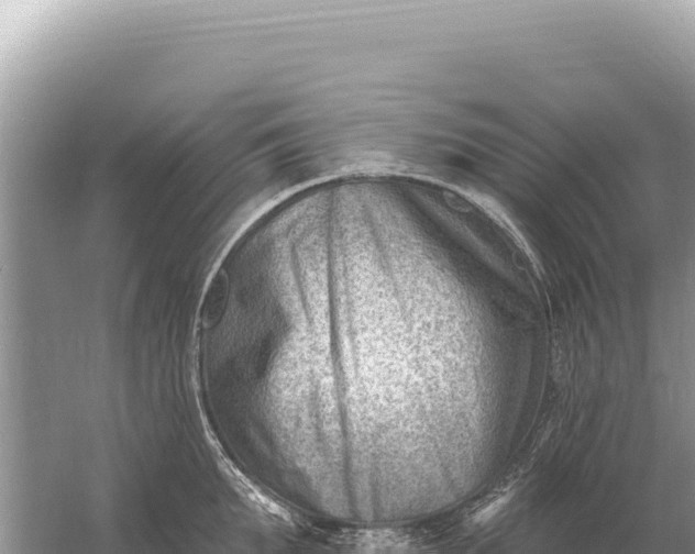 X0000059060903200510212023