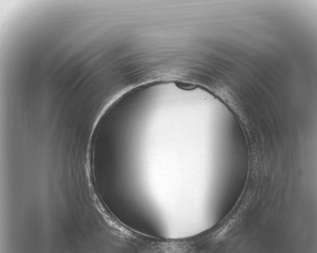 X0000059060904200510212023