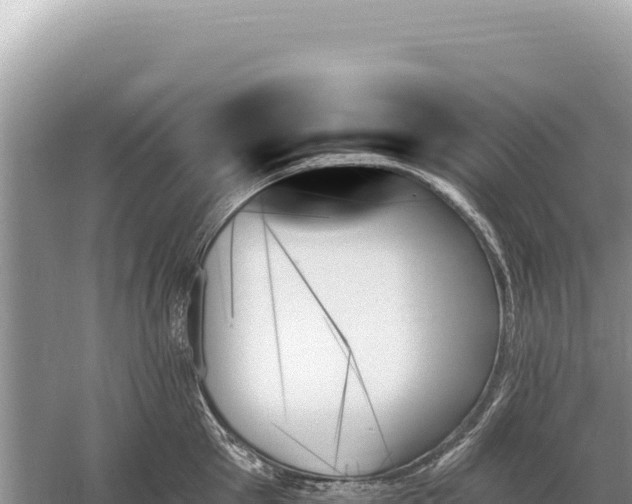 X0000059060905200510212023