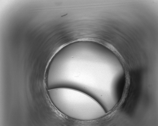 X0000059060908200510212023