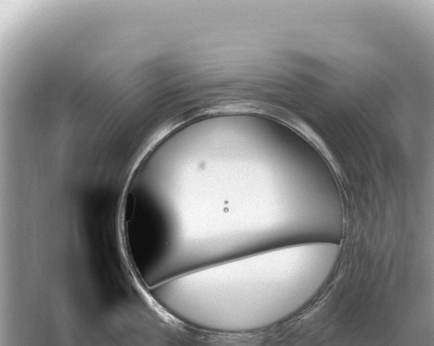 X0000059060909200510212023