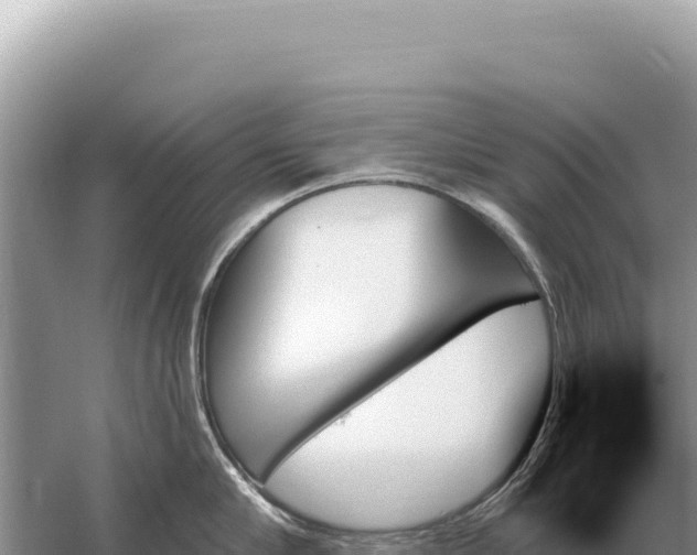 X0000059060910200510212023