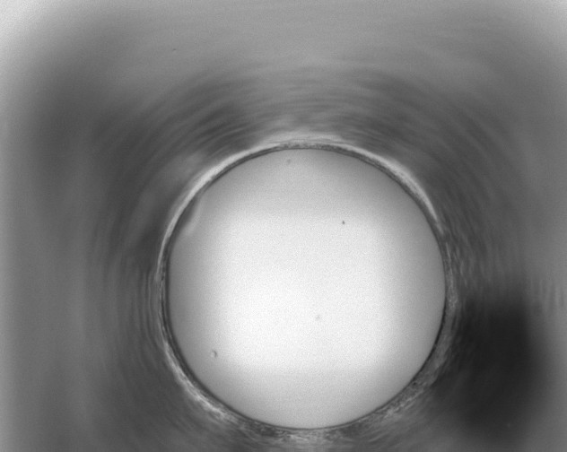 X0000059060911200510212023