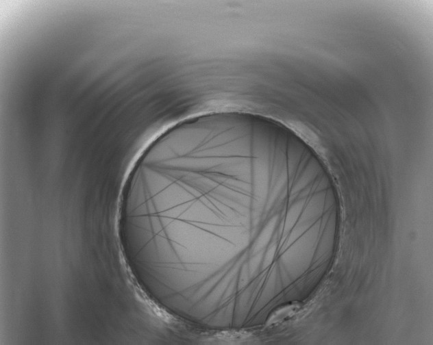 X0000059060912200510212023