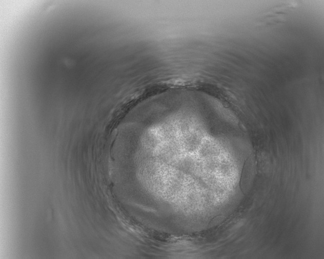 X0000059060913200510212022