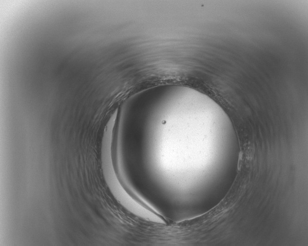 X0000059060916200510212022