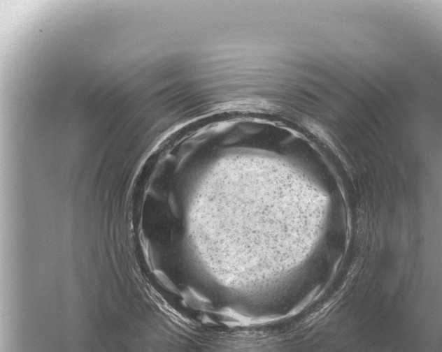 X0000059060923200510212022