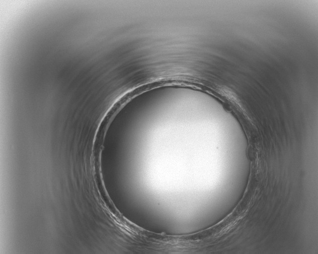 X0000059060924200510212022