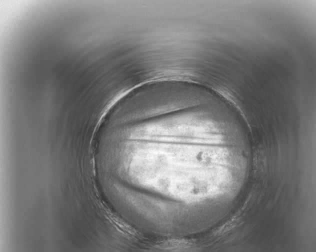 X0000059060925200510212022