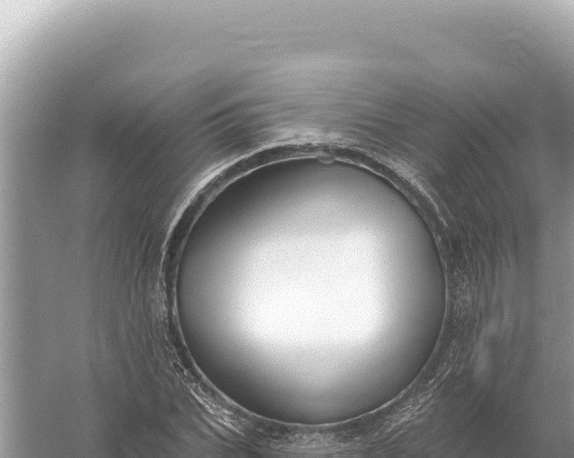 X0000059060927200510212022