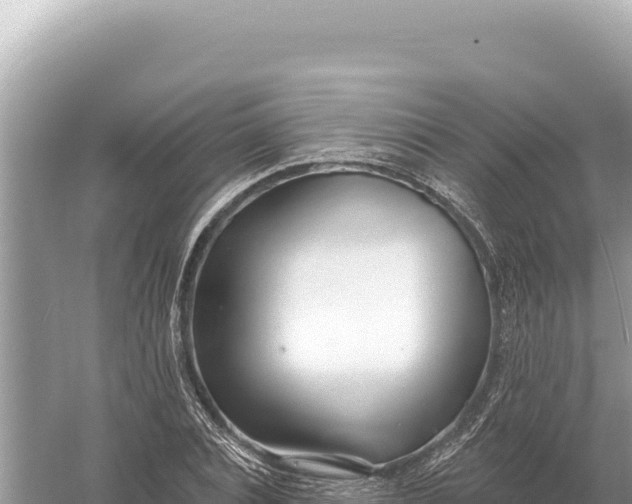 X0000059060928200510212022