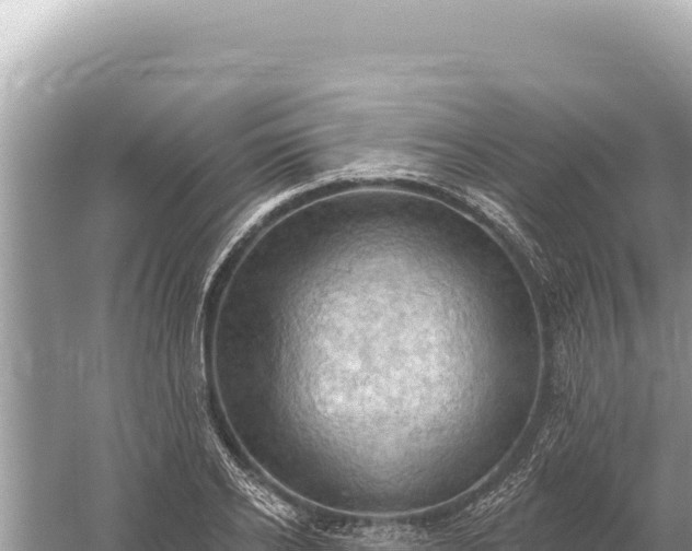 X0000059060934200510212023