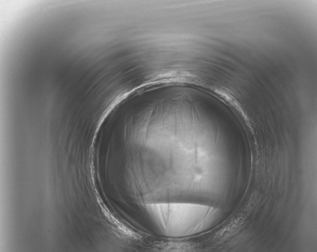 X0000059060941200510212023