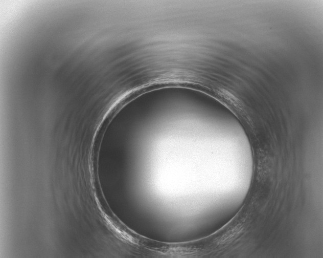 X0000059060942200510212023