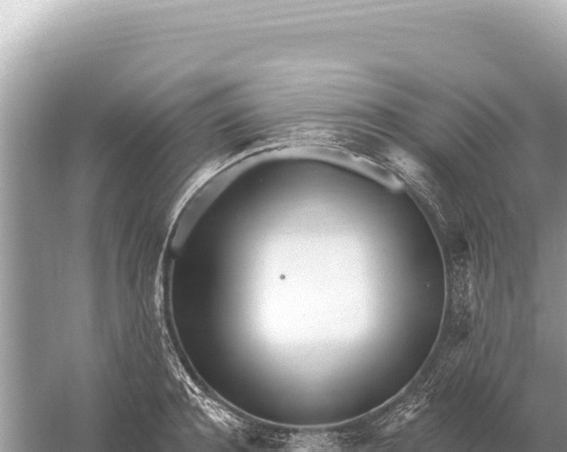 X0000059060944200510212023