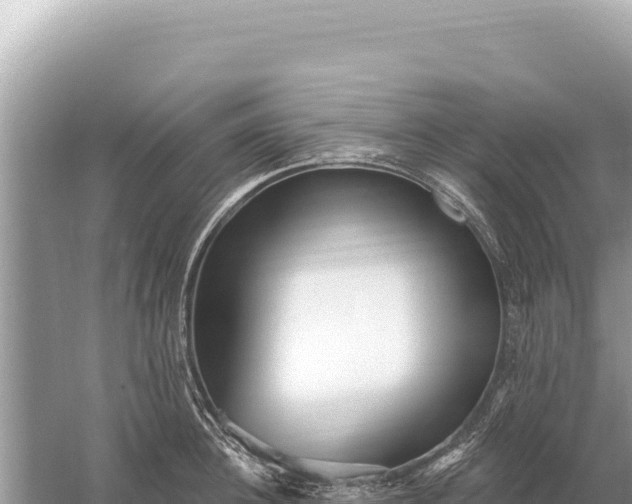 X0000059060948200510212023