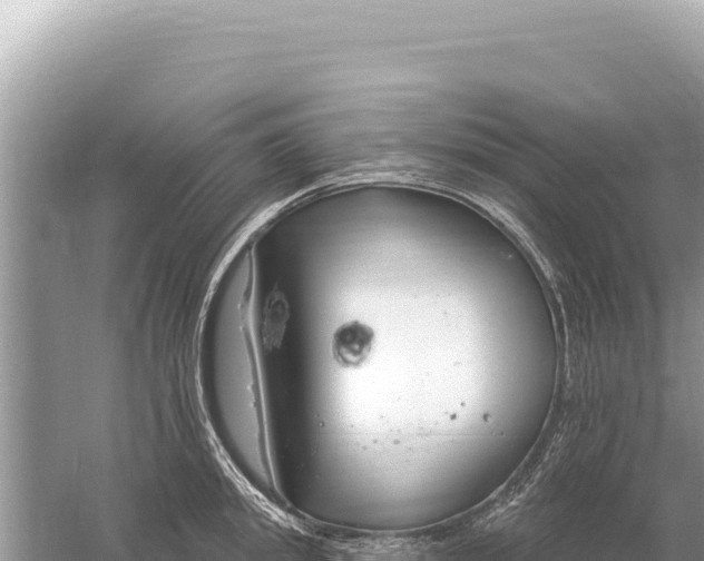 X0000059060949200510212023