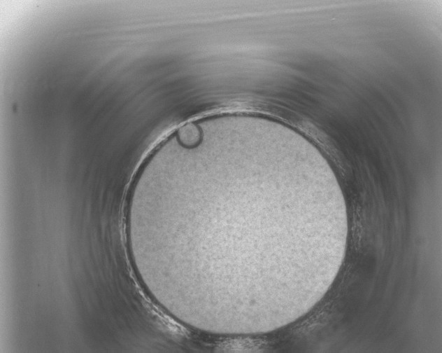 X0000059060950200510212023