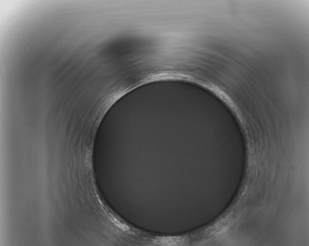 X0000059060953200510212023