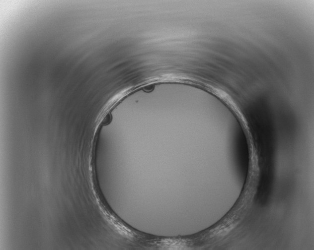 X0000059060954200510212023