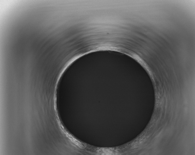 X0000059060955200510212023