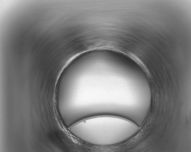 X0000059060956200510212023