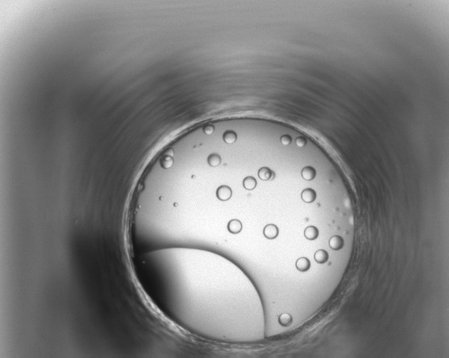 X0000059060957200510212023