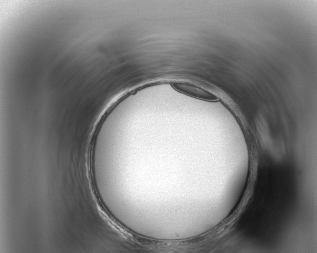 X0000059060958200510212023