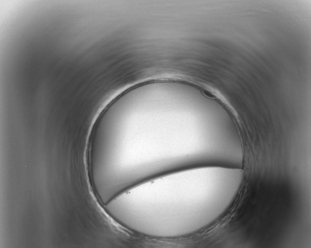 X0000059060959200510212023