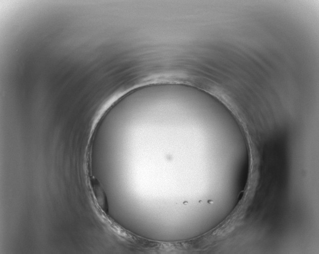 X0000059060960200510212023